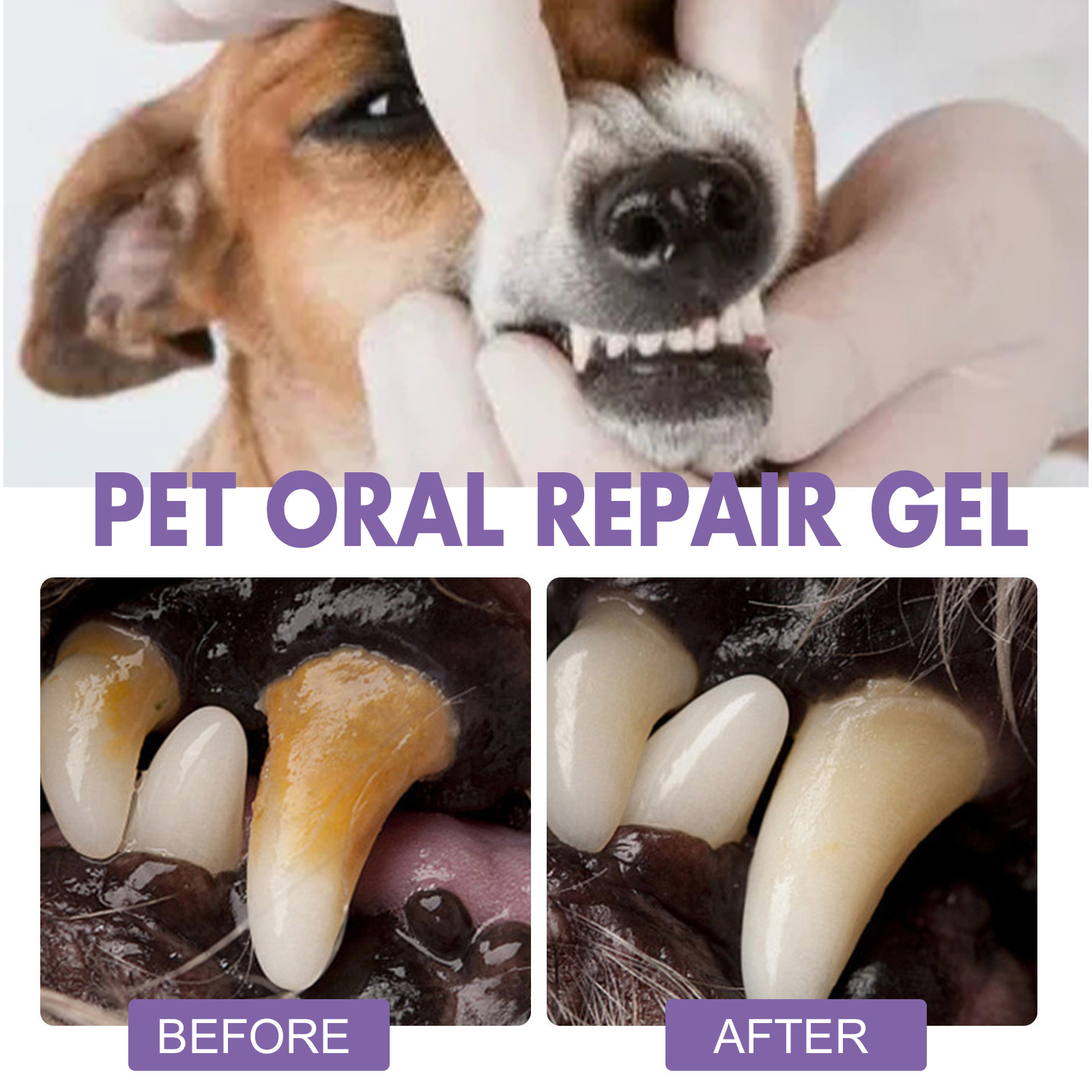 Gel de reparação oral para ani - Teeth Whitening Gels avaliação e preço